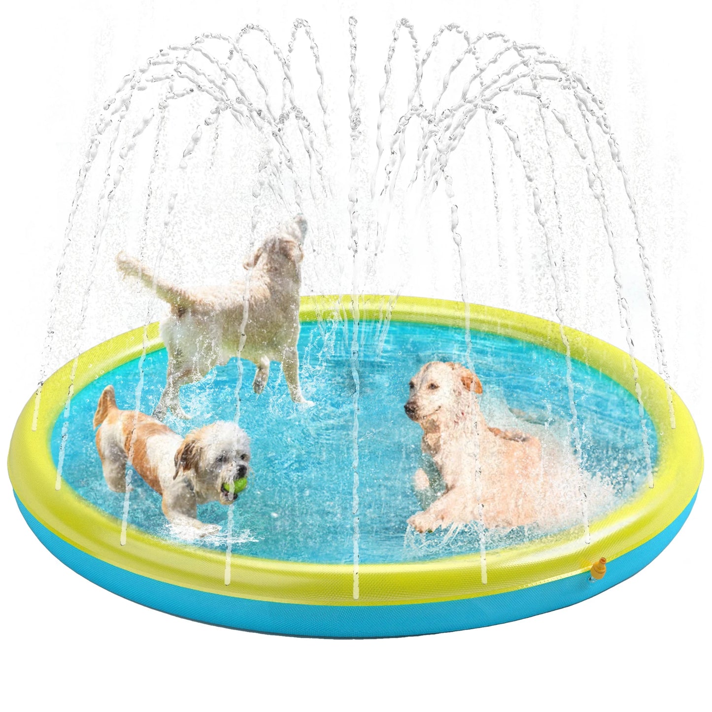 Sprinkler Pool for Dogs
