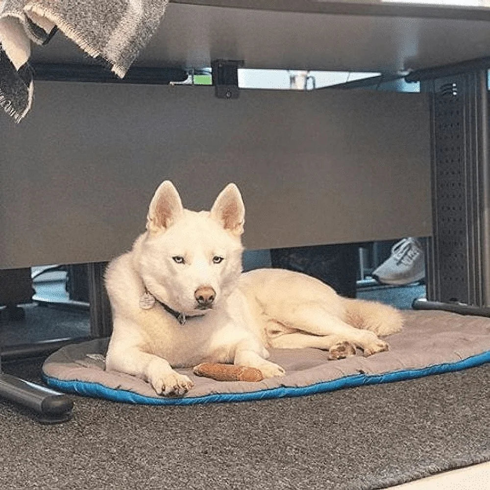 Portable Lightweight Travel Pet Bed
