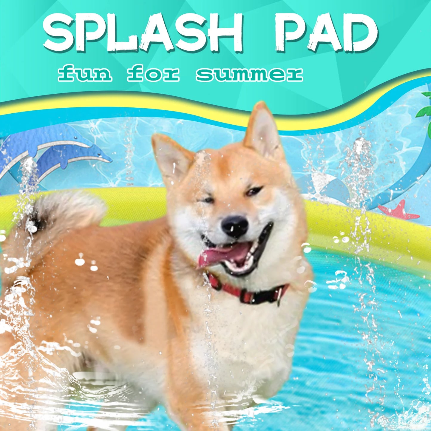 Sprinkler Pool for Dogs