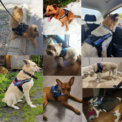 Adjustable Reflective Dog Harness