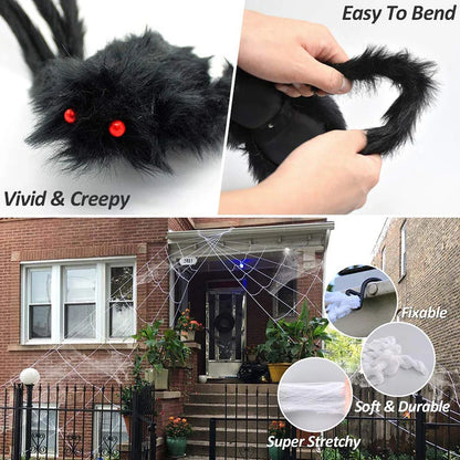 Outdoor Spider and Web Decoration