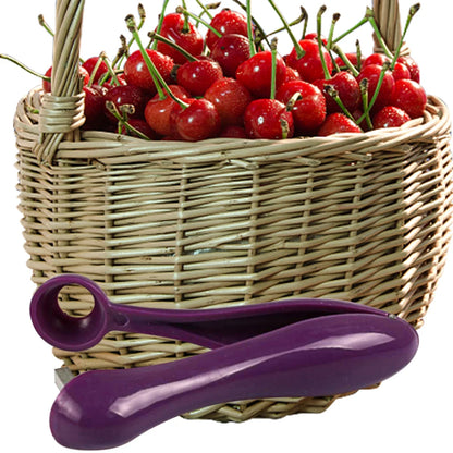 Cherry Pit Remover Tool