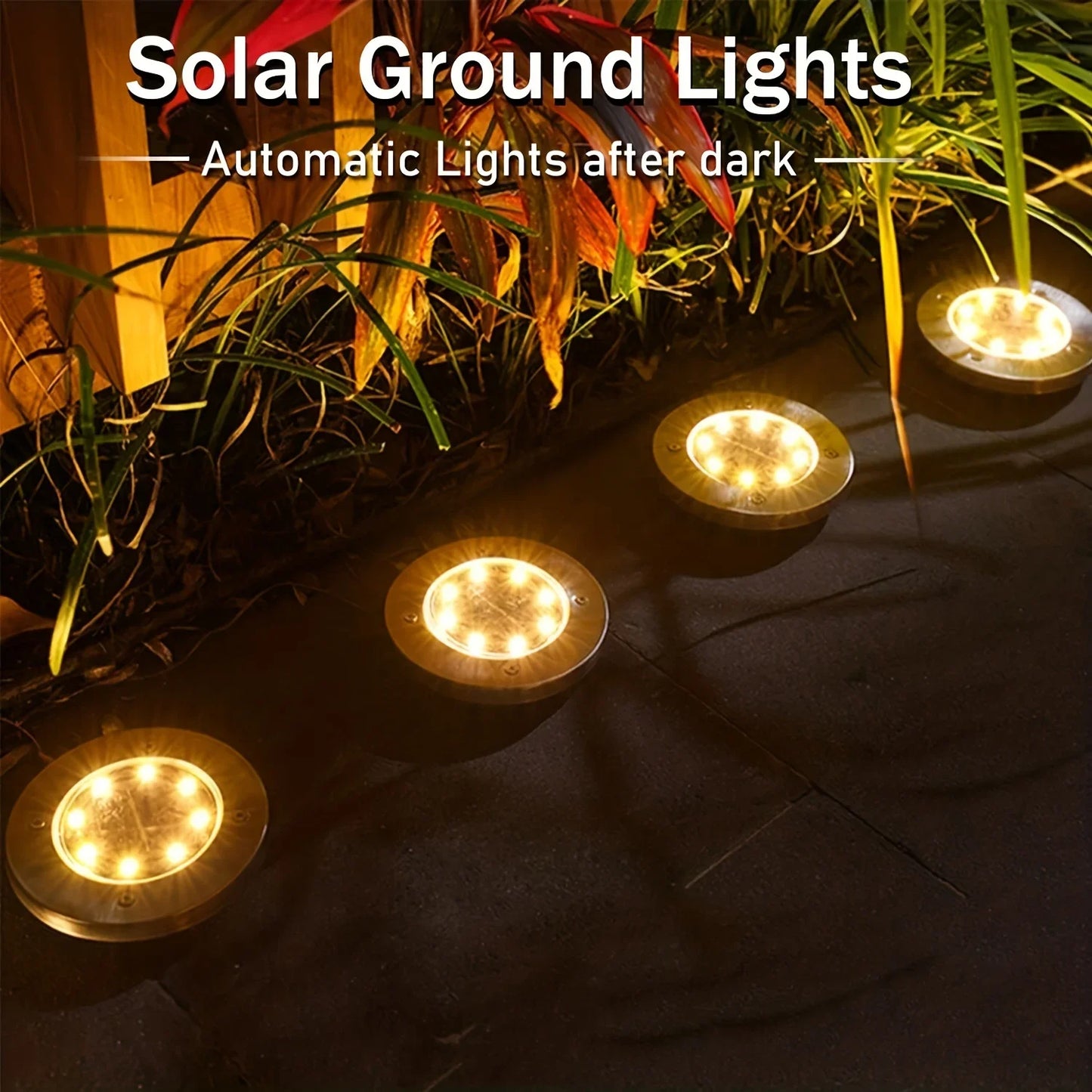 Outdoor Solar Landscape Lights