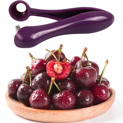 Cherry Pit Remover Tool