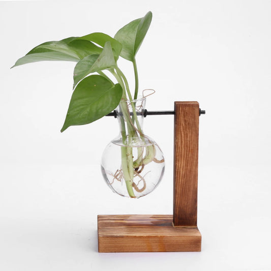 Hydroponic Planter with Wooden Stand