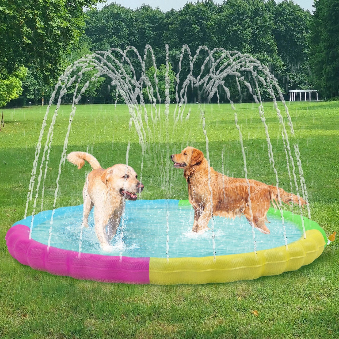 Sprinkler Pool for Dogs