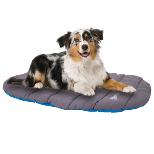 Portable Lightweight Travel Pet Bed