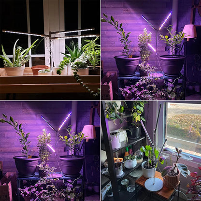 Full Spectrum Phyto Grow Plant Lamp