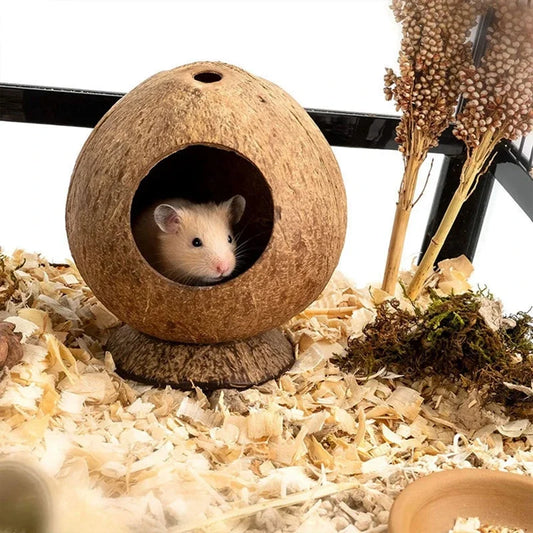 Wooden Coconut House for Small Animal