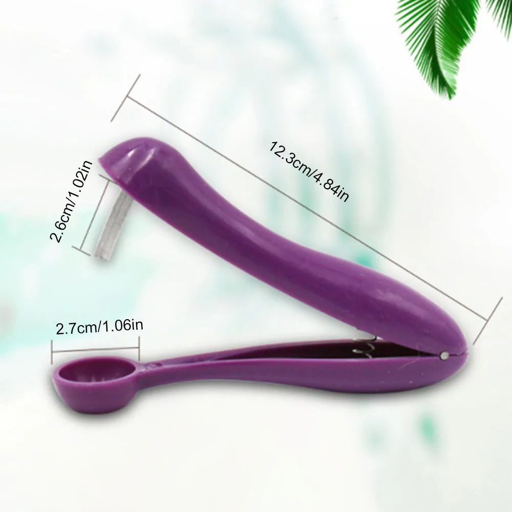 Cherry Pit Remover Tool
